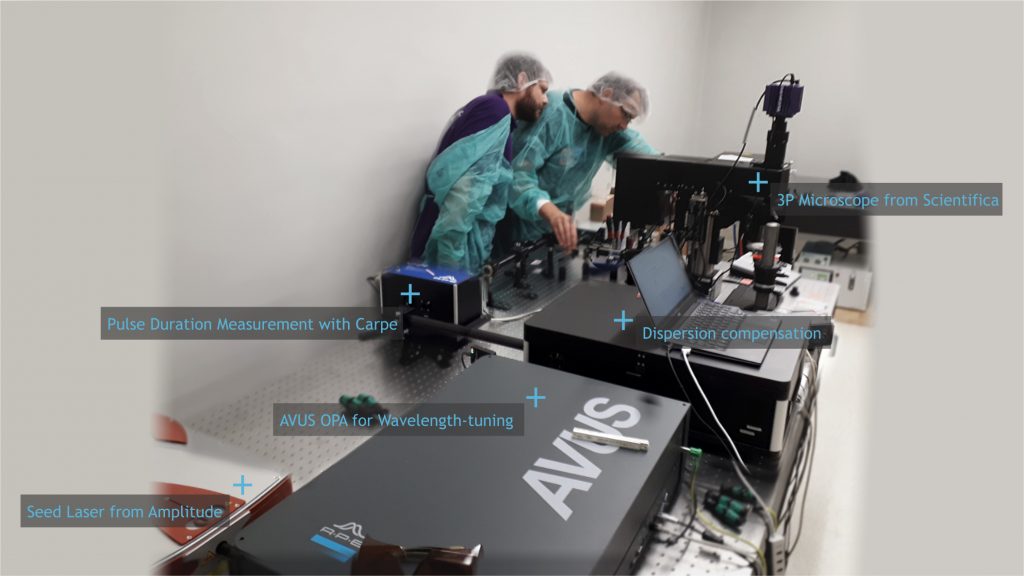 Dispersion Compensation In Three Photon Microscopy Ape